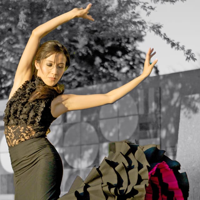 Flamenco Shows